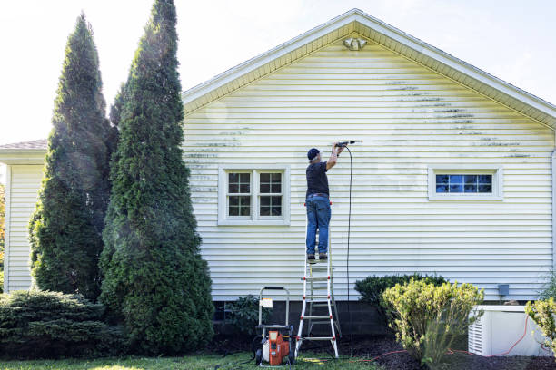 Best Residential Exterior Washing  in Plains, TX